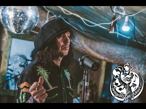 Thumbnail for Up Around The Bend - Sami Yaffa & Steve'n'Seagulls by Sami Yaffa