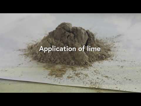 Clubroot Management: Summary