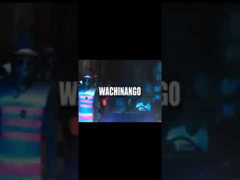 Wildey Ft Popy y La Moda - WACHINANGO (Video Oficial)