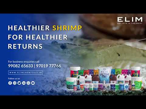 PS Plus Sludge Treat 20 Liters