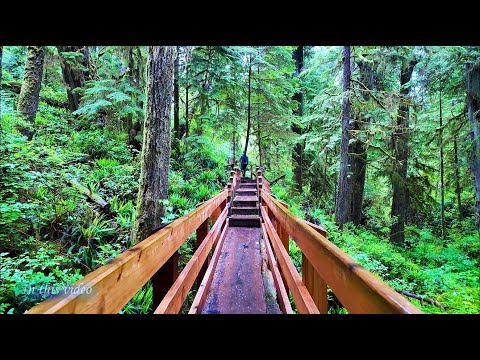 TOFINO Vancouver Island British Columbia Canada | 4K Tofino Beaches and Rainforest