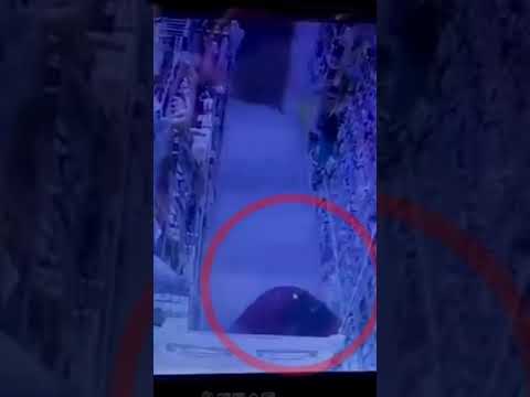 Viral Video Pencurian di Indomaret Tugumulyo Musi Rawas