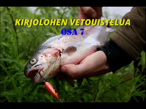 KIRJOLOHEN VETOUISTELUA |Erämaan Kyntäjä |Rainbow Trout | Kalastusta