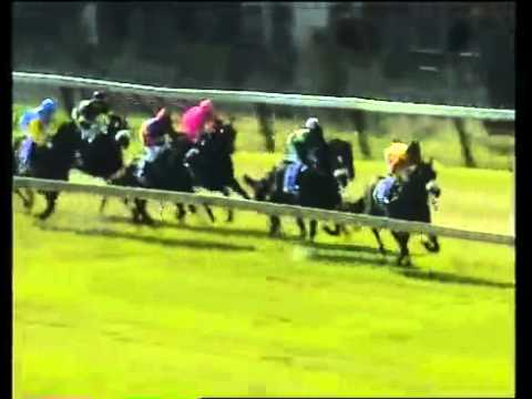 2011-07-24 Scottsville race 3