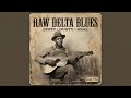 Brownie McGhee – Piedmont to Delta Blues Stories (1940–1955) | Acoustic Roots