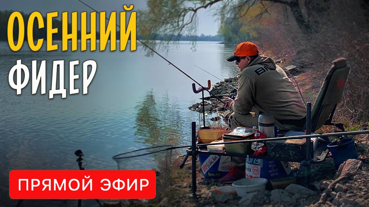 Как ловить фидером осенью? Ответы на вопросы