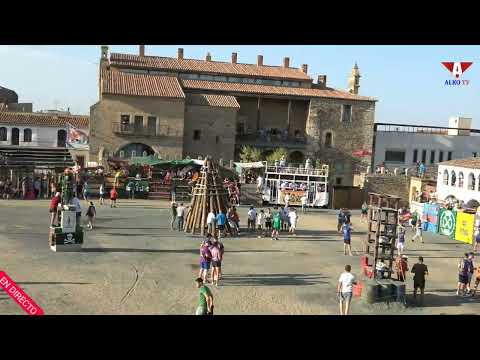 Copia de 2026 08 18 Festejos taurinos directo