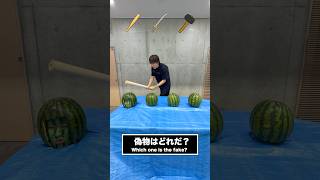 人を割ってはいけないスイカ割り🍉