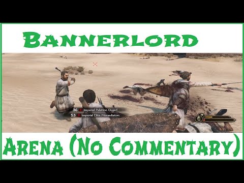 Arena Practice Fight Compilation - Bannerlord - No Comentary, 1080p, RTX 2080s, Ryzen 7, 16 RAM