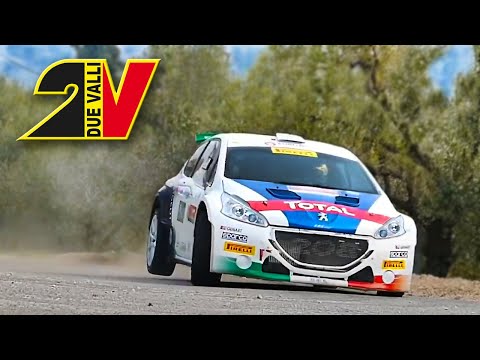 35° Rally Due Valli 2017 Jumps & Crash