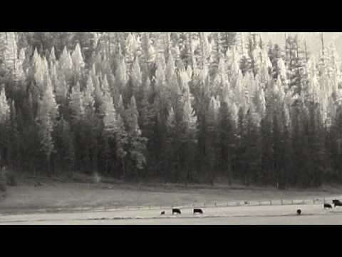 The Weak Ones Turned Back, The Cowards Never Started: A Century of ...