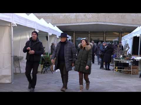 Capitulo 1 - Preparando IV UbeBonsái en Aranjuez: Tras Bambalinas del Congreso.