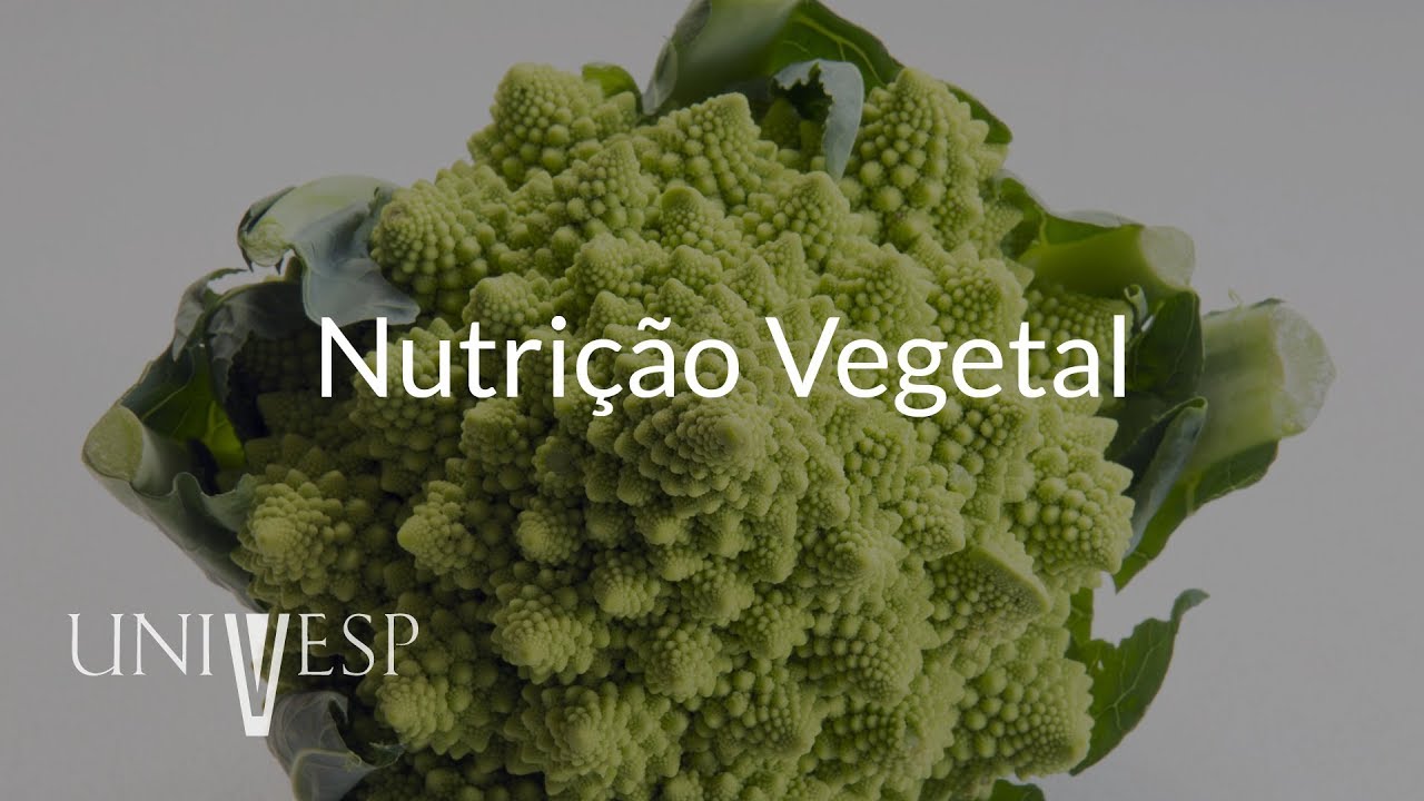 Fisiologia Vegetal - Aula 03 - Nutrição vegetal