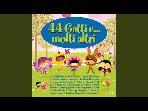 La Mia Bidella Candida