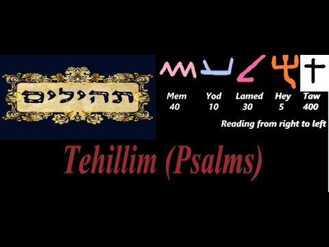 Tehillim /  Psalm 13