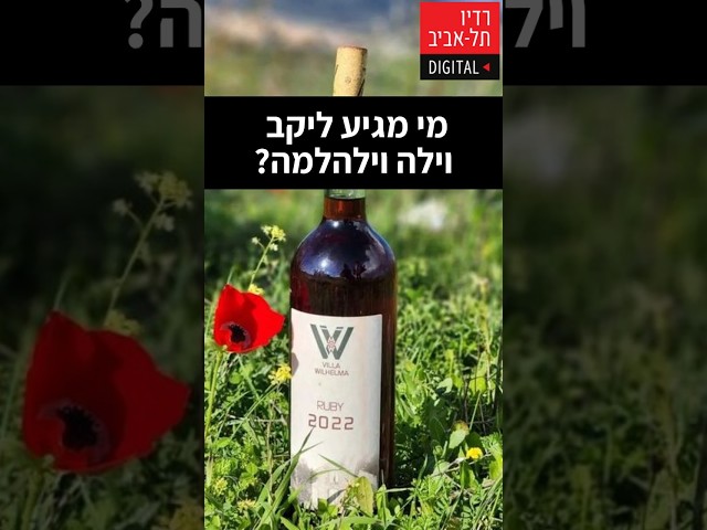   מי הקהל שמגיע ליקב ומה גורם לו לחזור שוב ושוב? מתוך שיחה של מוטי גולדמן, הבעלים של יקב וילהלמה, עם דני וידיסלבסקי, מומחה להתנהגות אנושית ומאסטר...