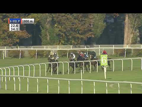 25.10.2020 (D44; G5; Tor: 3,9; 8°C) Nagroda Bandoli