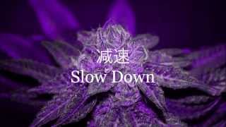 Freddie Gibbs - Still Livin&#39; (Slowed Down)