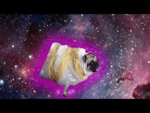 Pug, The Song