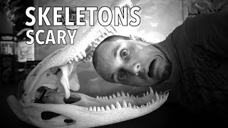 ORLANDO: Skeletons Animals Unveiled - creepy flesh eating beetles😬