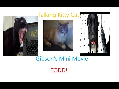 Gibson's Mini Movie - The Interacter Reactor