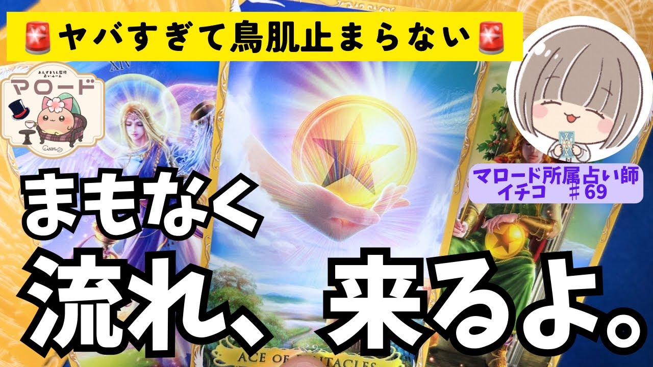 【鳥肌級の神展開💥🫨】ここから3ヶ月のお仕事について見たらパワフルな結果出まくりでした😇【お仕事】【タロット】