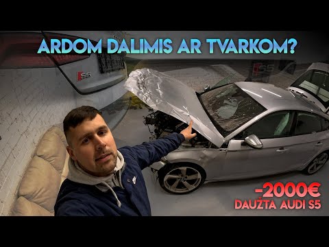 ARDOM DALIMIS AR TVARKOM? | AUDI S5 UŽ 2000€