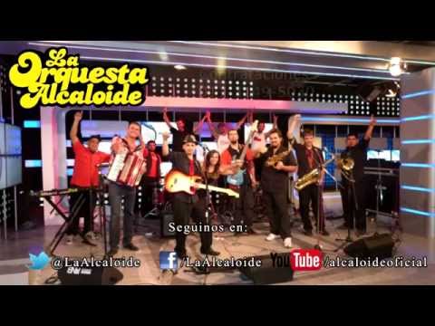 La Orquesta alcaloide ♪ - Video Promocional 2017