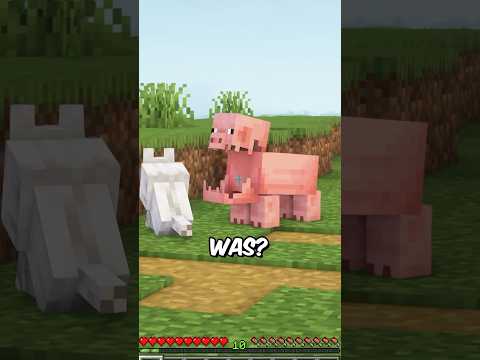 Das SCHWEIN wird IMMER GRÖßER in MINECRAFT?!… #minecraft #toobad #diesereinefreund