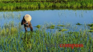 Cycling Hoi An - a travel guide by Rusty Compass