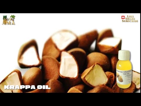 🐝 Zoned in on - About the benefits of Krappa oil