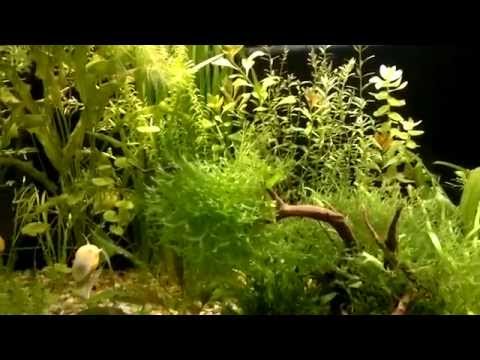 24. Oświetlenie led - żarówki 3,8W x 3 szt