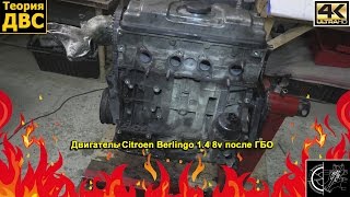 Теория ДВС: Двигатель Citroen Berlingo 1.4 8v после ГБО