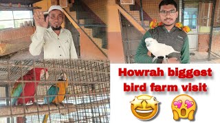 Download lagu Howrah Biggest Bird Farm Visit 😍♥️ || My First Vlog mp3