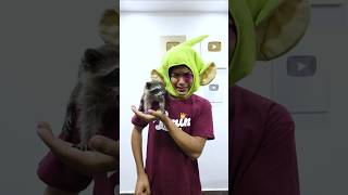 NO FUE CULPA DE LARIN JR #comedia