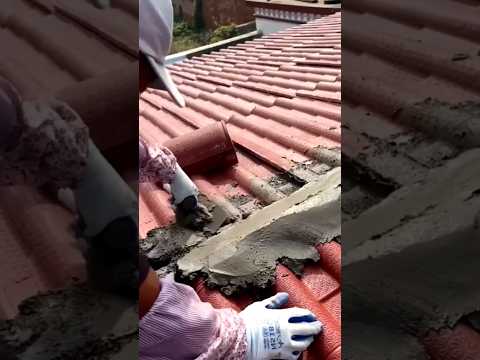 #shorts #agriculture #farming2024 #satisfying #machine #shot #EliteShortsUnleashed #5173