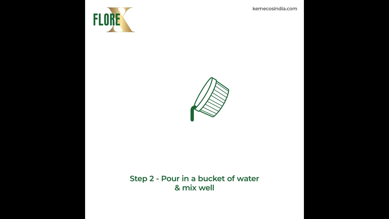 Florex | 3 Step Cleaning