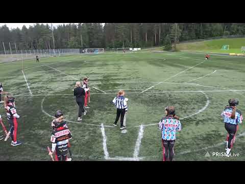 Suurleiri 2023 D-tytöt Pelisarja: Pesä Ysit - SiiPe 💛