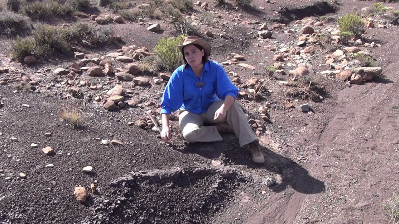Early Triassic Extinction Causes