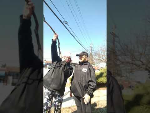 Lisa, Lisa On the streets of Watertown, Ma