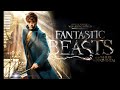 Fantastic Beasts And Where To Find Them soundtrack (Hedwig's theme mix) - extended
