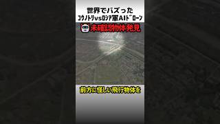コウノトリvsロシア軍ドローン