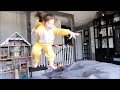 High Flying Mutt Stuff Ninja Dogs Ninja Harper