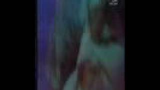 The Telescopes - Everso