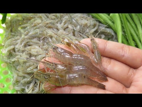 Easy Shrimp Recipes | How To Make Fresh Shrimp Food Cambodian style