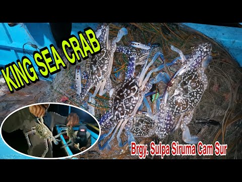 PAG BATAK NG LAMBAT NG HATING GABI ITO ANG AMING MGA HULI/BRGY. SULPA SIRUMA CAM SUR