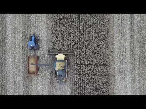 O AGRO NÃO PARA 🇧🇷🇧🇷🇧🇷