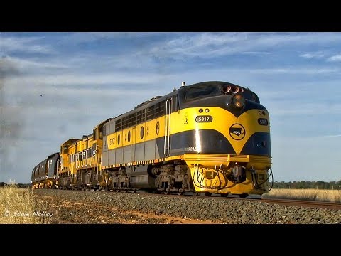 Australian Trains: Loaded SSR grain from Deniliquin