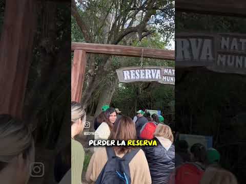 Villa Ocampo,es una de las entradaS al gran Jaaukanigás, uno de los humedales más importantes.AR 🌿✨