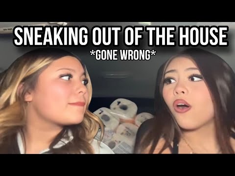 Sneak Out Of The House With Us For A Late Night SNACK RUN *GONE WRONG*